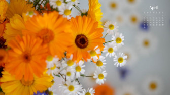 April Wallpaper Best Desktop Phone Background