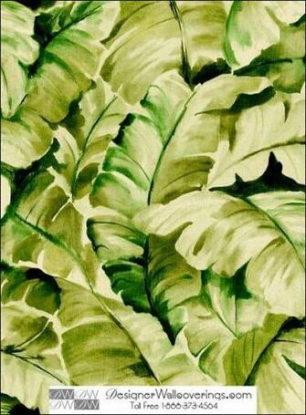Titos Tropical Banana Leaf Wall Paper Wat Water Colors