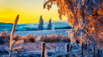 Winter Sunset A Snowy Landscape Bathed In The Warm Glow