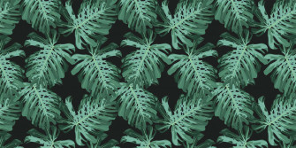 Aesthetic Palm Leaves Wallpaper