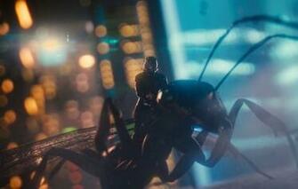 Wallpaper Ant Man Antman Movie Film Year Paul