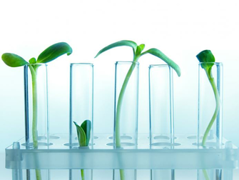 Best Botanist Wallpaper