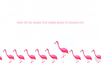 Flamingo Desktop Background Wallpaper