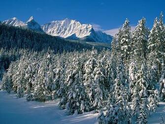 Sunny Winter Day Wallpaper
