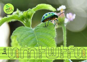 Spot January Desktop Calendar Wallpaper Html