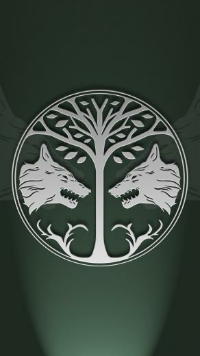 Destiny Iron Banner Wallpaper Mobile By Overwatchgraphics On