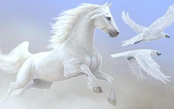 Beautiful Horse Horses Wallpaper