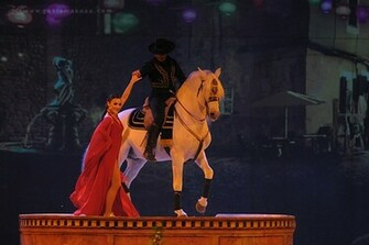Performance Appasionata Flamenco Wallpaper