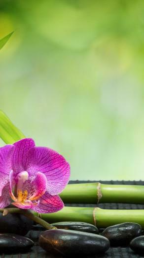 Feng Shui 4k Ultra HD Wallpaper Net