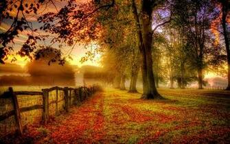 Misty Fall Day Pictures Photos And Image For