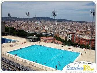 Olympic Swimming Pool HD Wallpaper Size Of
