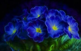 Wallpaper Leaves Flowers Petals Blue Primula Primrose Image