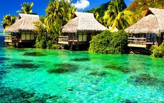 Beach Scene Desktop Wallpaper Green Nature Wallpaper55
