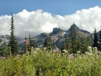 Mt Rainier
