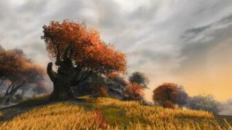 Red Leafed Tree Orange Guildwars Screen Shot HD