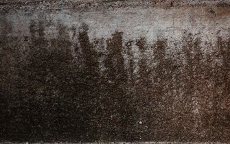 Dirty Wallpaper Top Collections Of Pictures Image