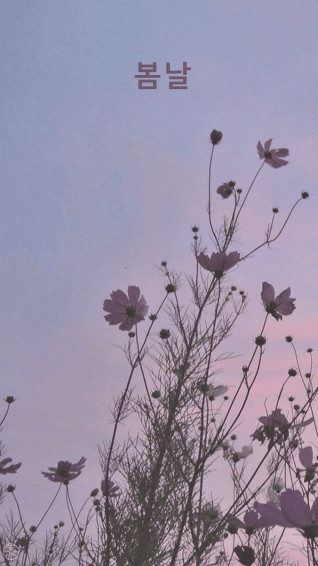 Korean Aesthetic Desktop Wallpaper