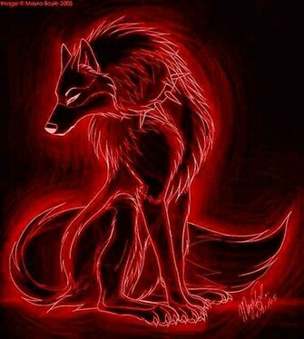 Anime Fire Wolves Wolf And Dingo Packs Let The Past Go