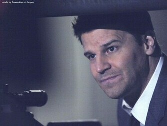 David Boreanaz Wallpaper