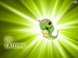 Caterpie Wallpaper