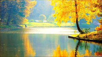 Really Cool Pretty Wallpaper On