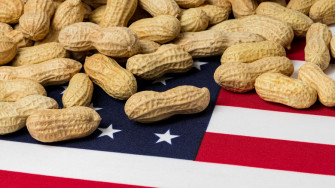 These Are The Varieties Of Peanuts Wallpaper