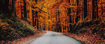 4k Fall Wallpaper