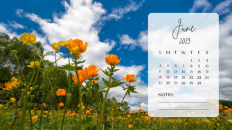 And Customizable Summer Desktop Wallpaper Templates
