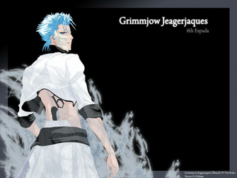 Deviantart More Like Grimmjow Jaggerjack Wallpaper By Eclipse9