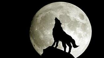 Apple Abstract Wolf Full Moon Pixel Popular HD Wallpaper