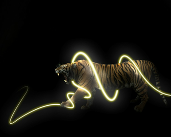 Cool Tiger Wallpaper Rocketdock
