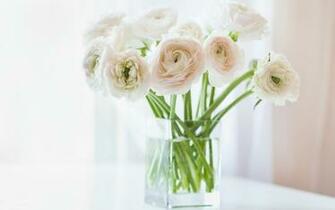 White Flowers Wallpaper