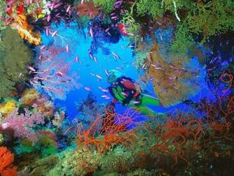 Top Most Beautiful Diving Locations In Indonesia