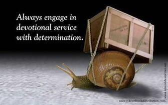 Book Quote Wallpaper Distribution