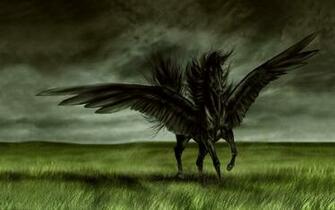 Fantastic Black Horse Wallpaper HD