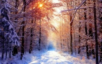 Winter Sun Wallpaper