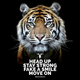 Sandeep Goud On Study Quotes Tiger Beast