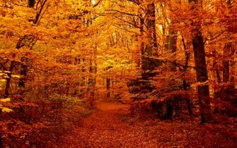 Fall Seasons Wallpaper In HD