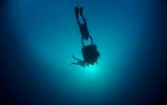 3d HD Wallpaper Under The Sea