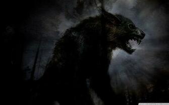 Black Wolf Wallpaper Best HD