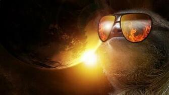 Sloth Wallpaper