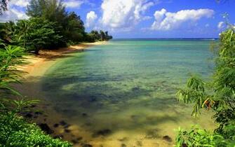 Nature HD Wallpaper
