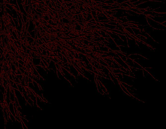 Amazing Wallpaper Crimson HDq Cover