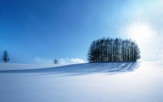 Snowy Field HD Desktop Wallpaper Wallpapercow