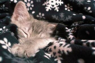 Cozy Winter Blanket Photo By Meimmo