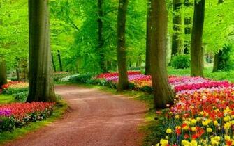 Colorful Spring Park HD