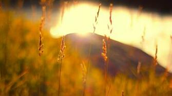 Nature Full HD Wallpaper 1080p Desktop Background