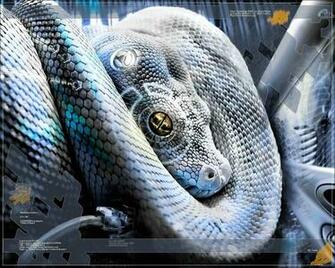 Cool Techno Background