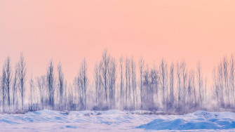 Beautiful Winter Wallpaper All About Snow Frost And Ice