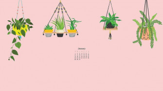 January Wallpaper Bies For Desktop Phones